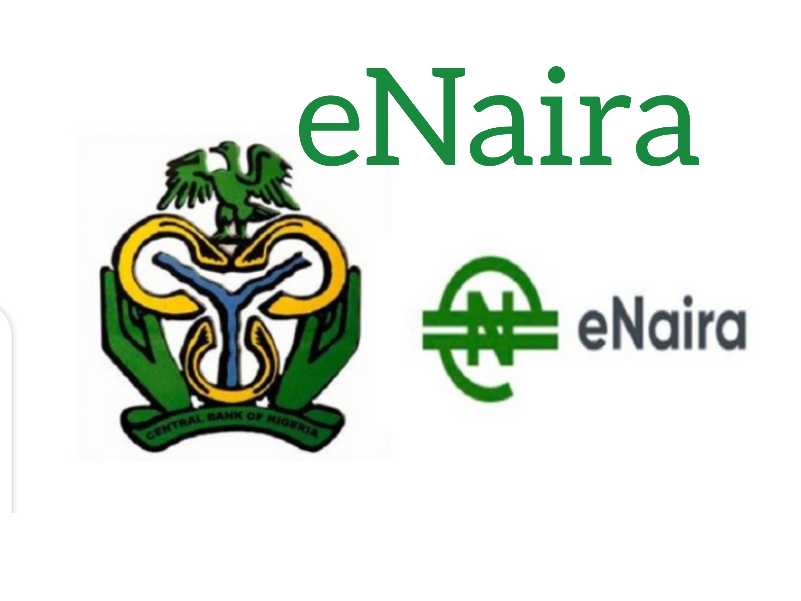 eNaira: Nigeriaâ€™s New Digital Currency â€“ the Bloom and Gloom!